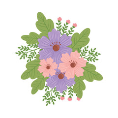 cute purple and pink floral spring decoration vector illustration design