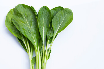 Choy Sum on white background. Copy space