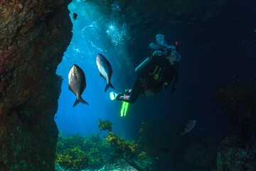 Naklejka na ściany i meble Diver swimming through a sea cave with fish in foreground near Poor Knights Islands, North Island, New Zealand.