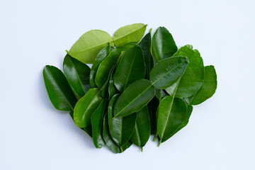 Fototapeta na wymiar Bergamot kaffir lime leaves herb fresh ingredient isolated on white