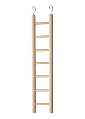 Wooden ladder or stairs with metal hooks. Step ladder on white isolated background. Bird parrot...