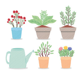bundle of houseplants and sprinkler tool vector illustration design