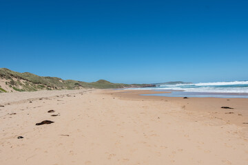 beach in the morning
