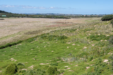 field near beach 
