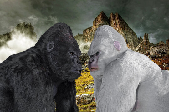 にらみ合い の画像 58 件の Stock 写真 ベクターおよびビデオ Adobe Stock