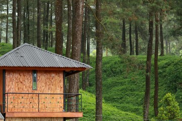 beautiful wooden house in tropical forest