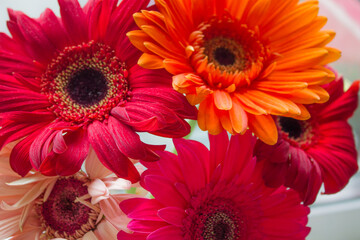 Bouquet of gerberas. Red gerberas, orange gerberas, pink gerberas. Very beautiful flowers. Flower...