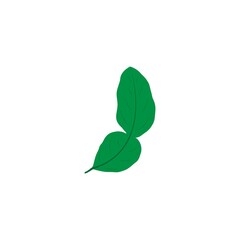 lime leaves logo