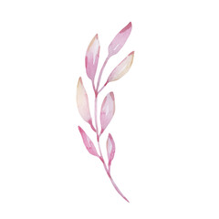 Watercolor branch with delicate pink leaves