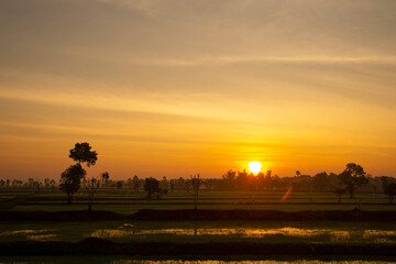 The sun rises with a dramatic sky over the rice fields, Thailand.
