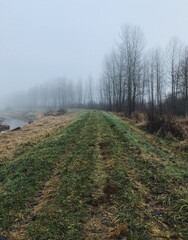 Scenic View Of Landscape Against Sky During Foggy Weather