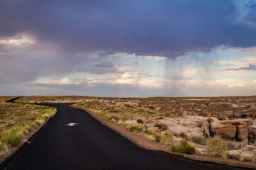 Fototapeta premium A rainstorm approaches in the Painted Desert of Petrified Forest National Park, Arizona