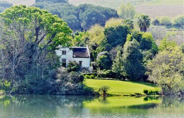 Landscape with a Cape Dutch House hidden away on a Pond