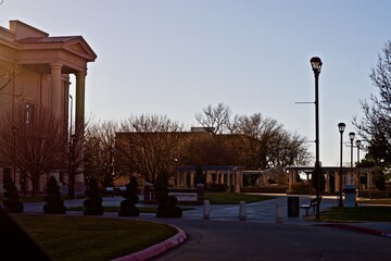 Landscapes of Trees, and Street Light on Campus of Texas A & M University, Canyon, Texas.