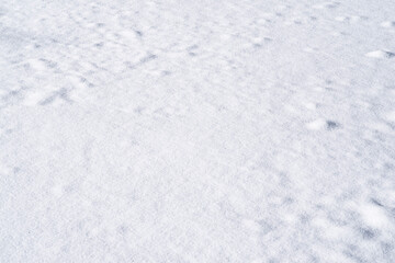 Fototapeta na wymiar Smooth snowy surface texture