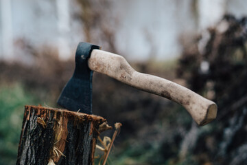 ax nature harvesting firewood for a fire in the forest