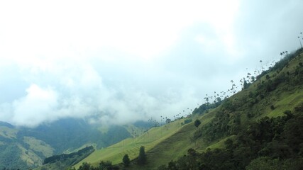 Fototapeta premium El cerro.