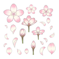 桜 花びら つぼみ 開花 花見 入学 イラスト