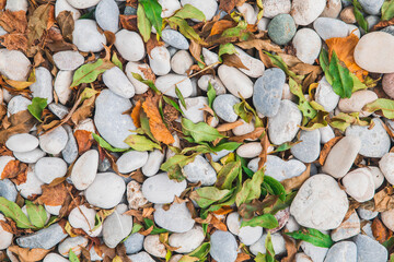 Natural background. Fallen leaves on colorful cobblestones