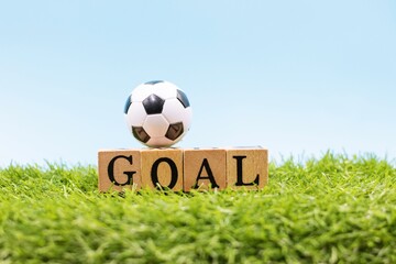 Soccer ball with word GOAL is on green grass with blue sky background