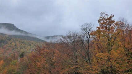 Fototapeta premium Mountain Mist - Fall Colors