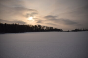 Winter forest, beautiful winter landscape.