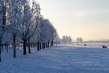 winter landscape with frost on the trees