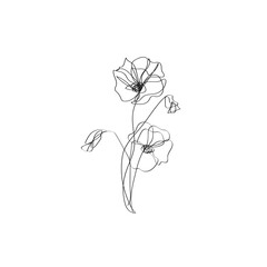 Poppy Line Drawing, Flowers Black Sketch Isolated on White Background. Poppies Flowers One Line Illustration. Minimalist Botanical Drawing. Vector EPS 10.