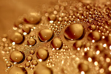 Water drops macro background modern high quality prints