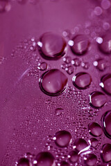 Purpple water drops macro background modern high quality prints