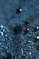 Water drops macro background modern high quality prints