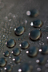 Water drops macro background modern high quality prints