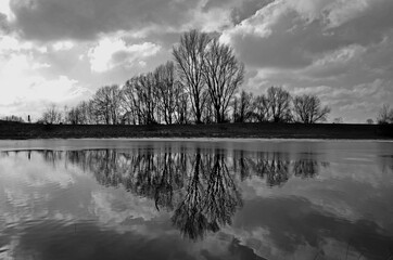 Reflection Of Bare Trees In Lake Against Sky