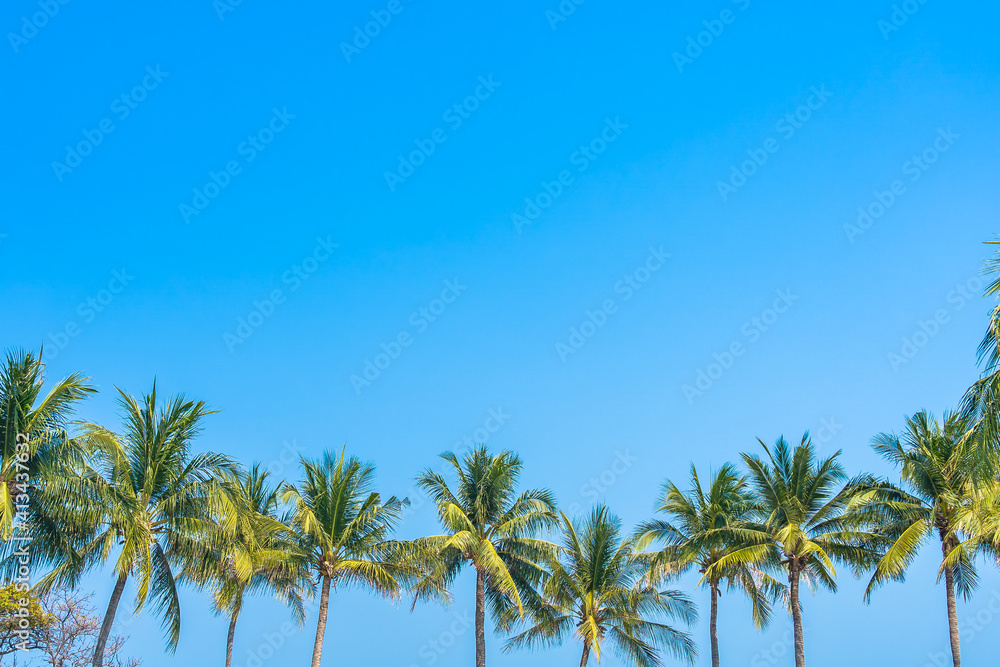 Wall mural Beautiful coconut palm tree with sky