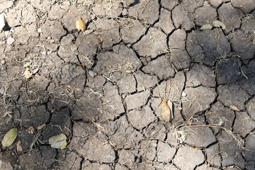 The ground is dry and cracking