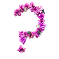 Fototapeta na wymiar Fresh Flowers Question mark