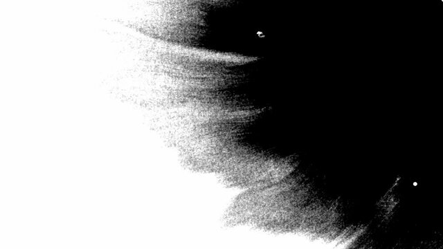 Ink bloom. Beautiful black watercolor ink drops transition
