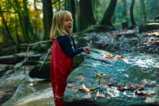 Preschooler in waterproof clothing playing in the woods on an autumn day