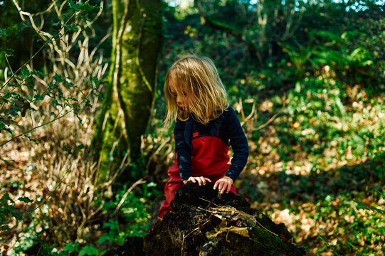 Preschooler sitting on the ground in nature on a sunny autumn day