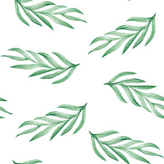 Watercolor painted plant leaves. Seamless pattern on a white background.