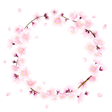白い背景に桜の花の丸いフレーム