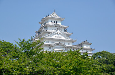Fototapeta premium 姫路城 天守閣 兵庫県姫路市