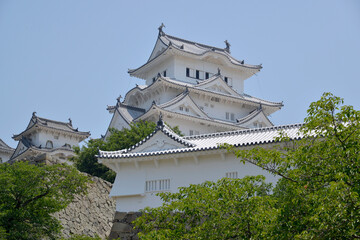 Fototapeta premium 姫路城 天守閣 兵庫県姫路市