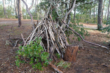 teepee wooden hut in forest made of poles © OceanProd