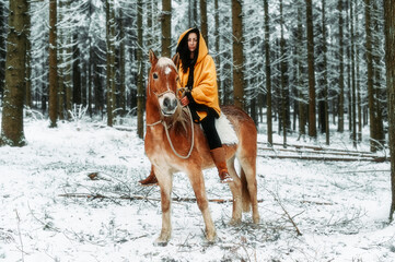 Winter fairytale with horse