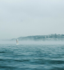 Naklejka premium fog on the water