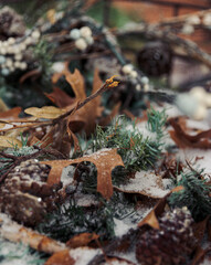 autumn leaves on the snow