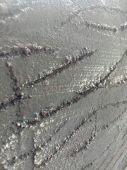 tracks in the snow