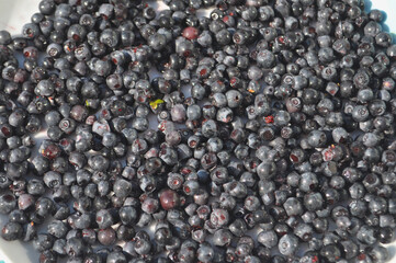 prune fruit food