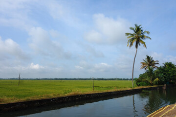 Backwaters network of brackish lagoons in Kerala